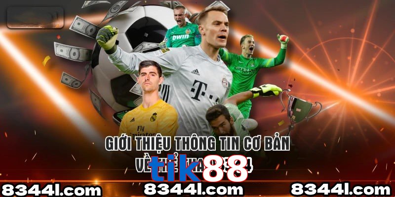 Giới Thiệu Thông Tin Cơ Bản Về Chuyên Mục Thể Thao tik88