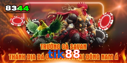 Mơ thấy cá chép – vận may trong học vấn và sự nghiệp